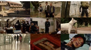 Download Dog X Police: The K 9 Force (2011) BluRay 720p 700MB Ganool