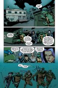 Teenage Mutant Ninja Turtles #12 Teenage Mutant Ninja Turtles #12