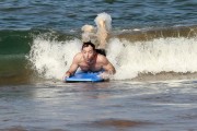 imagebam.com