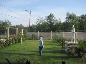 Bán Biệt Thự Nhà Vườn Bình Dương - 1