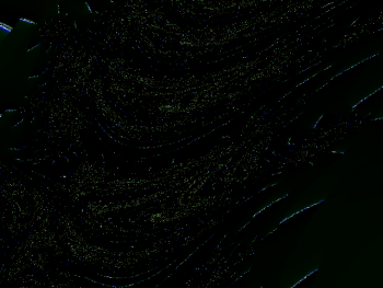 ImageBam image upload