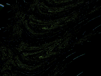 ImageBam image upload