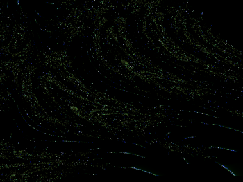 ImageBam image upload