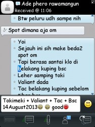 ImageBam image upload