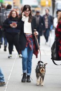 Dakota Johnson - Walking her dog in NYC 04/10/2015