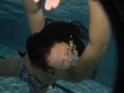 [Image: d9154f407599526.jpg]