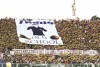 фотогалерея ACF Fiorentina - Страница 10 71f478413087945