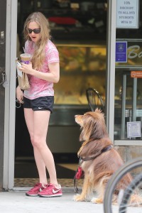 ImageBam image upload