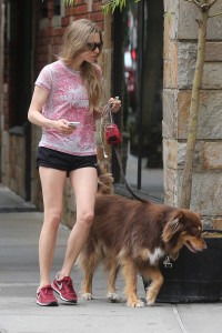 ImageBam image upload