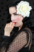  Дита фон Тиз (Dita von Teese) Vintage Lingerie Classic 1950's Photoshoot 2015 (111xHQ) 647f31427047373