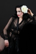  Дита фон Тиз (Dita von Teese) Vintage Lingerie Classic 1950's Photoshoot 2015 (111xHQ) 9055bf427047390