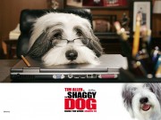 Лохматый папа / Shaggy Dog (2006) 3b8834452466714