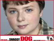 Лохматый папа / Shaggy Dog (2006) B5b3b2452466708