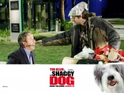 Лохматый папа / Shaggy Dog (2006) Be4dc2452466677