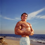 Арнольд Шварценеггер (Arnold Schwarzenegger) - сканы из разных журналов - 3xHQ Dd4abf456722830