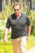 Арнольд Шварценеггер (Arnold Schwarzenegger) out for lunch in Brentwood, 10.08.2015 (9xHQ) F65c39457187058