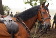 Боевой конь / War Horse (2011) 4889de459729165