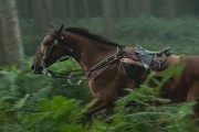 Боевой конь / War Horse (2011) 64c2b8459729282