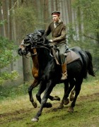 Боевой конь / War Horse (2011) D993dd459728927