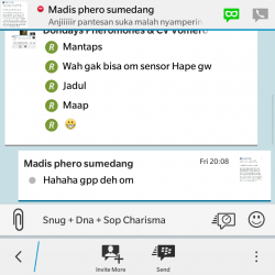 ImageBam image upload