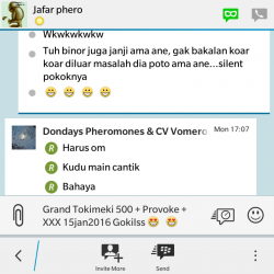 ImageBam image upload