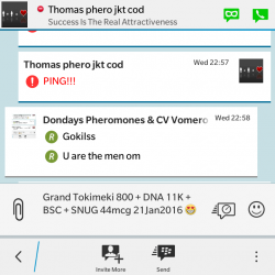 ImageBam image upload