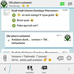 ImageBam image upload