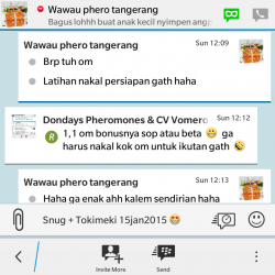 ImageBam image upload