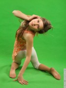 ImageBam image upload