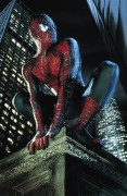 Человек Паук / Spider-Man (Тоби Магуайр, Кирстен Данст, 2002) 55ab4c467878096