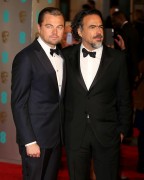 Леонардо ДиКаприо (Leonardo DiCaprio) EE British Academy Film Awards at the Royal Opera House (London, 14.02.2016) (148xHQ) 7457bc468913090