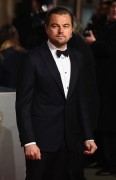 Леонардо ДиКаприо (Leonardo DiCaprio) EE British Academy Film Awards at the Royal Opera House (London, 14.02.2016) (148xHQ) 9bc449468912692