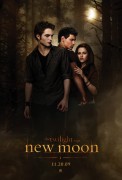 Сумерки сага: Новолуние / The Twilight Saga : New Moon (Стюарт, Паттинсон, Рид, Грин, 2009) C58f75470470081