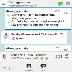 ImageBam image upload