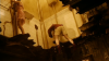 Delicatessen (1990).avi DvdRip AC3 iTA