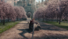 Alice in Wonderland (2010).mkv BDRip 576p x264 AC3 iTA-ENG